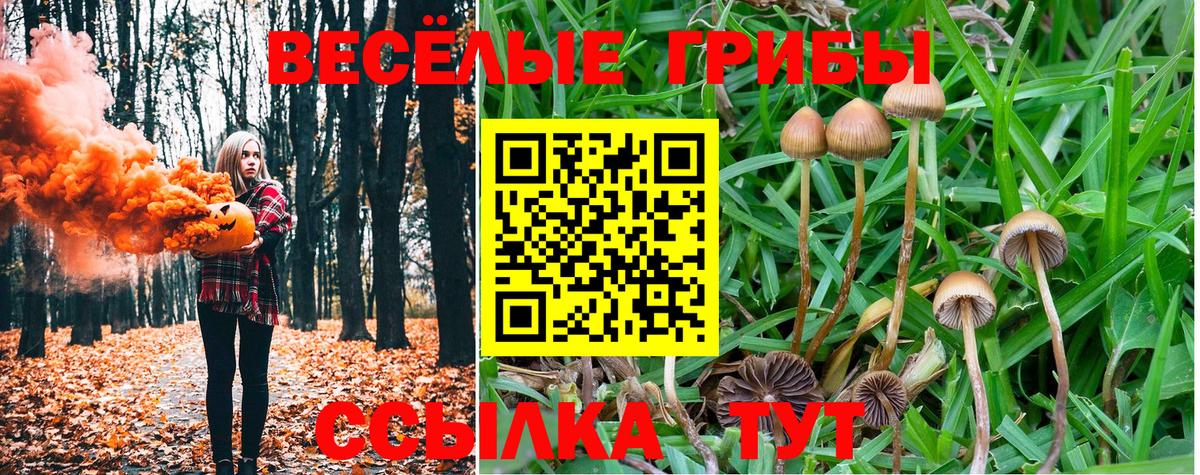 Псилоцибиновые грибы GOLDEN TEACHER Слободской