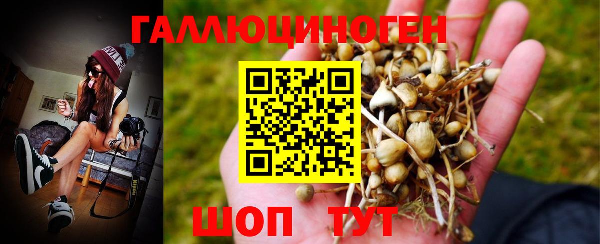 Слободской  Галлюциногенные грибы MAGIC MUSHROOMS  Вход с VPN 