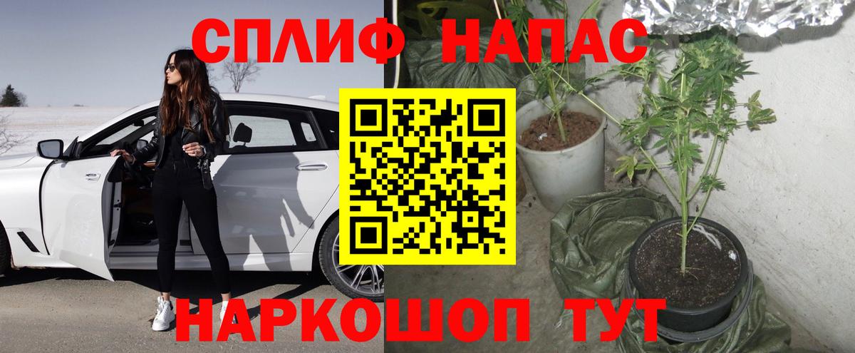 Бошки марихуана тримм  Вход с VPN  Шишки марихуана Ganja  Конопля VHQ  Слободской  Шишки марихуана SATIVA & INDICA 